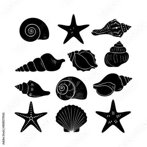 Collection of different black sea shells and starfish vector. Seashells black icons set silhouette illustration.