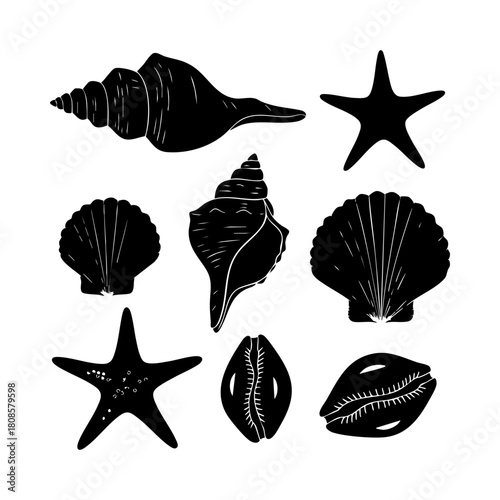 Collection of different black sea shells and starfish vector. Seashells black icons set silhouette illustration.