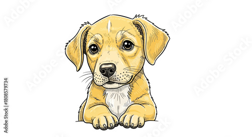 Adorable golden puppy illustration with detailed line work against a clean white backdrop