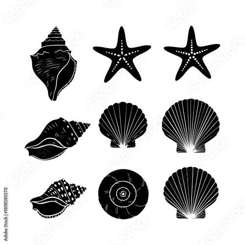 Collection of different black sea shells and starfish vector. Seashells black icons set silhouette illustration.