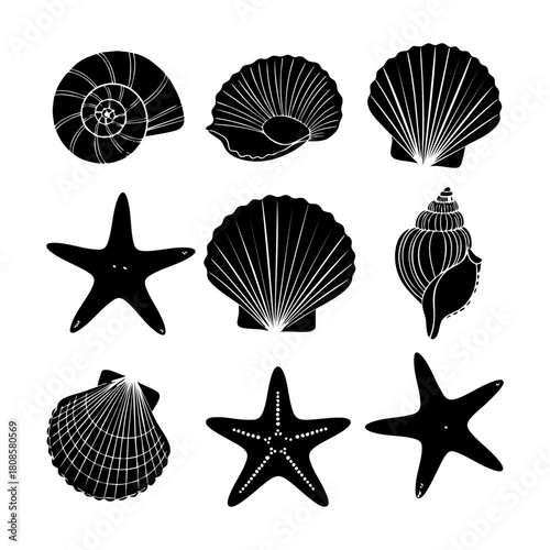Collection of different black sea shells and starfish vector. Seashells black icons set silhouette illustration.