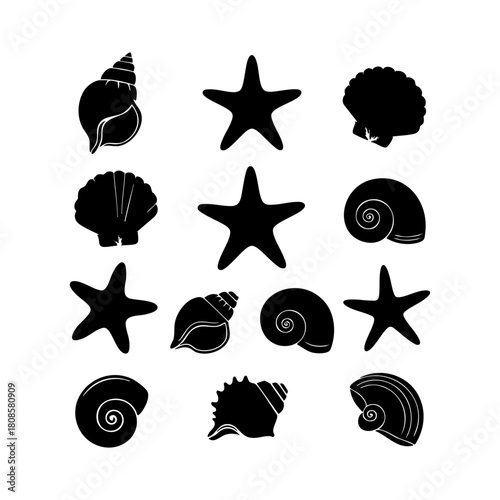 Collection of different black sea shells and starfish vector. Seashells black icons set silhouette illustration.