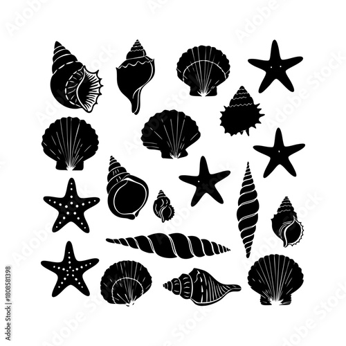 Collection of different black sea shells and starfish vector. Seashells black icons set silhouette illustration.