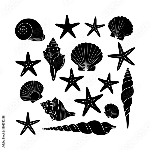 Collection of different black sea shells and starfish vector. Seashells black icons set silhouette illustration.