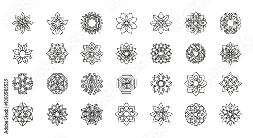 Collection of intricate floral and geometric vector designs on a white background featuring