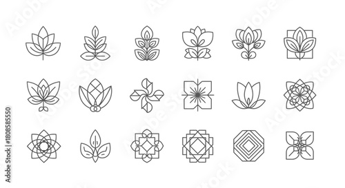 Elegant botanical and geometric line art icons for branding and design projects showcasing nature