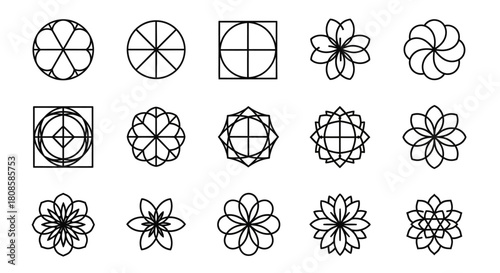Elegant vector floral designs and geometric symbols with a minimalist aesthetic style