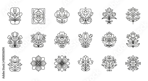 Collection of artistic botanical drawings and stylized floral ornamentations for art and design