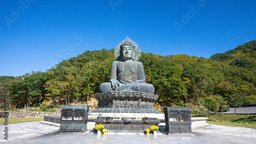 Wonderful autumn colours of the trees in  the  National Park near Sokcho