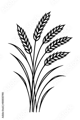 Striking black and white line art vector illustration of a stylized bundle of wheat or cereal grain stalks with prominent ears and slender leaves, symbolizing agriculture, abundant harvest