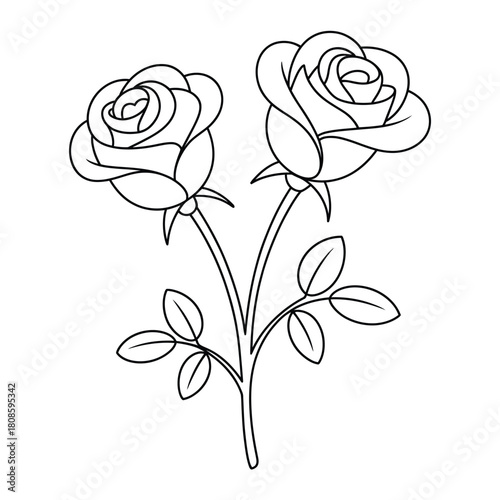 Two beautiful rose flowers with leaves in simple line art style