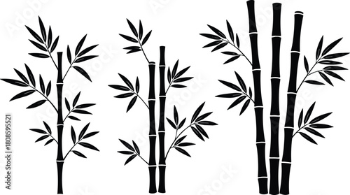 Bamboo silhouette vector, black bamboo clipart, nature plant icons, Asian flora shapes, tranquil bamboo design, editable botanical illustration set