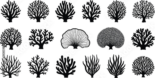 Coral silhouette vector set, black sea reef collection, marine underwater plant icons, ocean nature illustration isolated on white background
