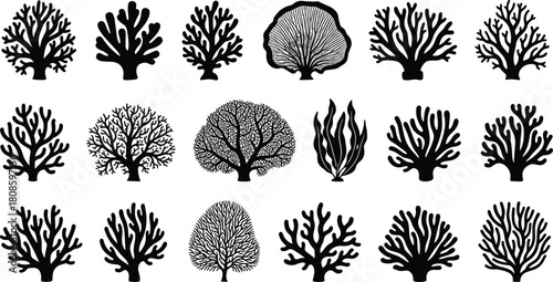 Coral silhouette vector, seaweed illustration, marine flora clipart, ocean plant shapes, underwater graphic, black coral icons, editable design elements