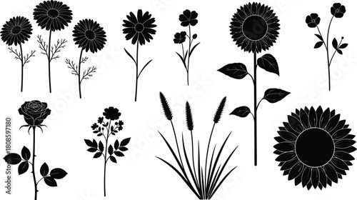 Flower silhouette vector set, black floral collection with sunflower rose and daisy, botanical nature illustration icons isolated on white background