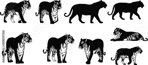 Tiger silhouette vector, black and white tiger clipart, wild animal poses, jungle predator illustration, editable wildlife design, big cat artwork