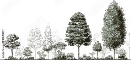 Diverse collection of trees and bushes in varying sizes and shades of green and gray foliage
