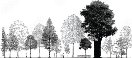 Black and white illustration of diverse trees and small figures on a white background forest nature
