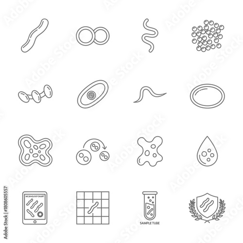 Explore the fascinating world of microbiology with this illustration showcasing diverse microorganism shapes and structures, perfect for science education and research visuals