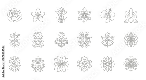 Assortment of elegant botanical line drawings showcasing diverse flower and foliage varieties