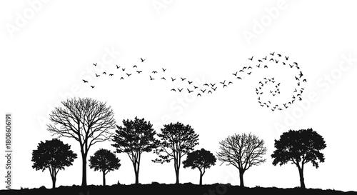 Silhouette of trees and birds in flight against a white background, creating a minimalistic and