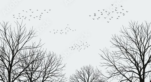 Monochromatic serenity with silhouetted trees and avian formations against a pale sky expanse