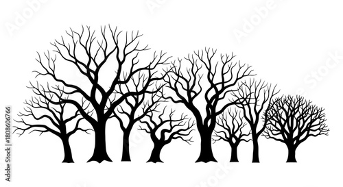 Silhouette landscape featuring bare deciduous trees against plain white background showing an