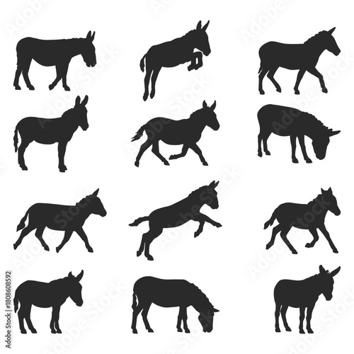 A Set of Hand Drawn Donkey Silhouette design