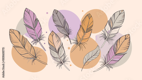 Elegant Collection of Pastel Colored Feathers on Abstract Background