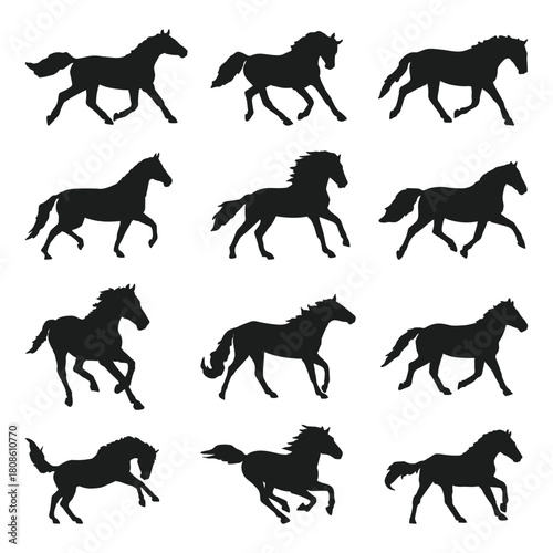 Collection of Silhouette Horse illustration Graphics