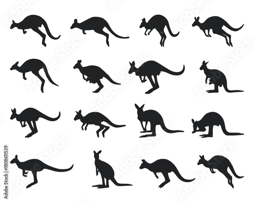 Kangaroo Silhouettes Collection, Various Poses