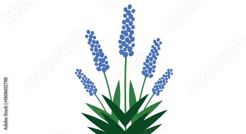 Delightful bluebell flowers with geometric charm, perfect for spring designs, adding a touch of nature and joy to your projects with floral beauty