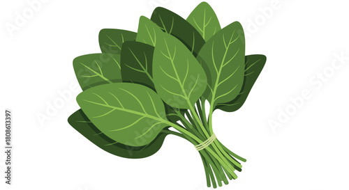 Fresh spinach bunch ready for healthy recipes, vibrant green leaves for salads, smoothies, and cooking, a nutritious addition to any balanced diet