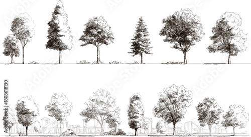 Minimal CAD Tree Line Drawing Vector Architectural Landscape Tree Elements Side View Outline Symbols Illustration Minimal CAD Tree Line Drawing Vector | Side View Tropical & Street Trees 
