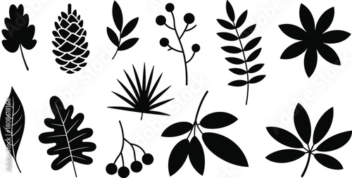 Botanical silhouette icon set, black foliage and berry shapes, vector illustration pack for nature design, seasonal decor, and educational use