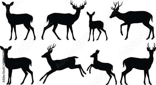 PrintCollection of elegant deer and stag silhouettes in various poses, wildlife vector illustration set for nature design, forest animal artwork