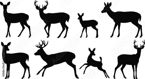 PrintCollection of elegant deer, stag, and fawn silhouettes in various poses, detailed wildlife vector illustration set perfect for forest nature design