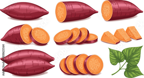 Sweet potato illustration, whole, sliced, chopped, vegetable clipart, orange flesh, purple skin, food graphic, healthy root, editable PNG
