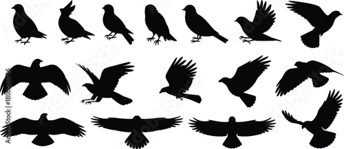 PrintSilhouette collection of various perched and flying birds, detailed black vector illustrations ideal for nature, wildlife, graphic design, motion graphics, and creative artwork