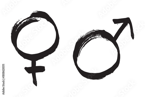 Hand drawn female and male gender identity sign Symbol used to represent sex and gender Single element for print, web, design, decor