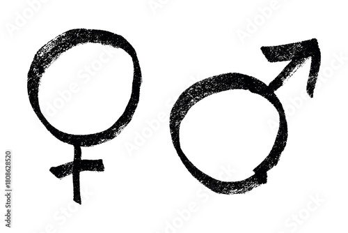 Hand drawn female and male gender identity sign Symbol used to represent sex and gender Single element for print, web, design, decor