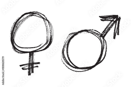Hand drawn female and male gender identity sign Symbol used to represent sex and gender Single element for print, web, design, decor