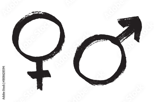 Hand drawn female and male gender identity sign Symbol used to represent sex and gender Single element for print, web, design, decor