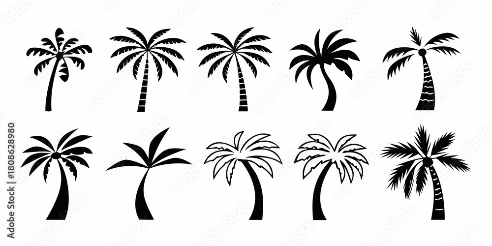Fototapeta premium Collection of black and white palm tree silhouette illustrations on white background