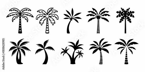 Set of black and white palm tree silhouettes illustration