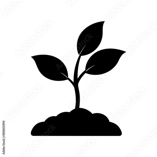 Silhouette of a plant growing from the ground with three leaves