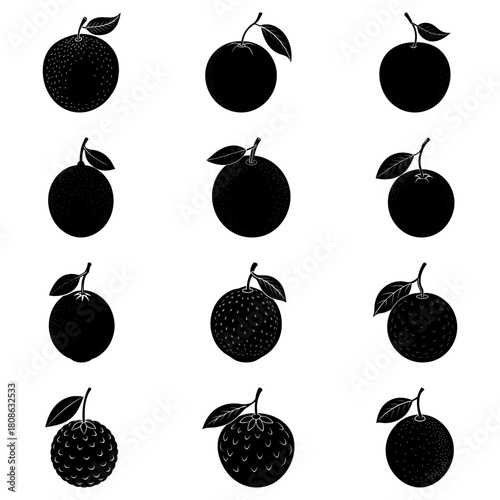 Silhouette illustration of a dozen oranges with varying textures and leaf arrangements in a grid pattern