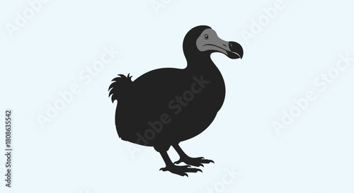 A simple, stylized illustration of an extinct Dodo bird, known for its flightless nature, standing on a plain light blue background.