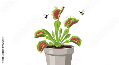 Venus flytrap in a pot with flies buzzing around, perfect for science lessons, botanical gardens and insect enthusiasts, unique and educational.