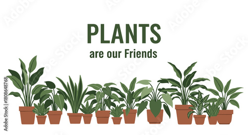 Beautiful potted plants are our friends, bring nature indoors with these wonderful houseplants, a modern and minimalist design for any space